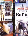 Mua Len Trau The Buffalo Boy