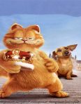 chú mèo garfield 2 (dvd)
